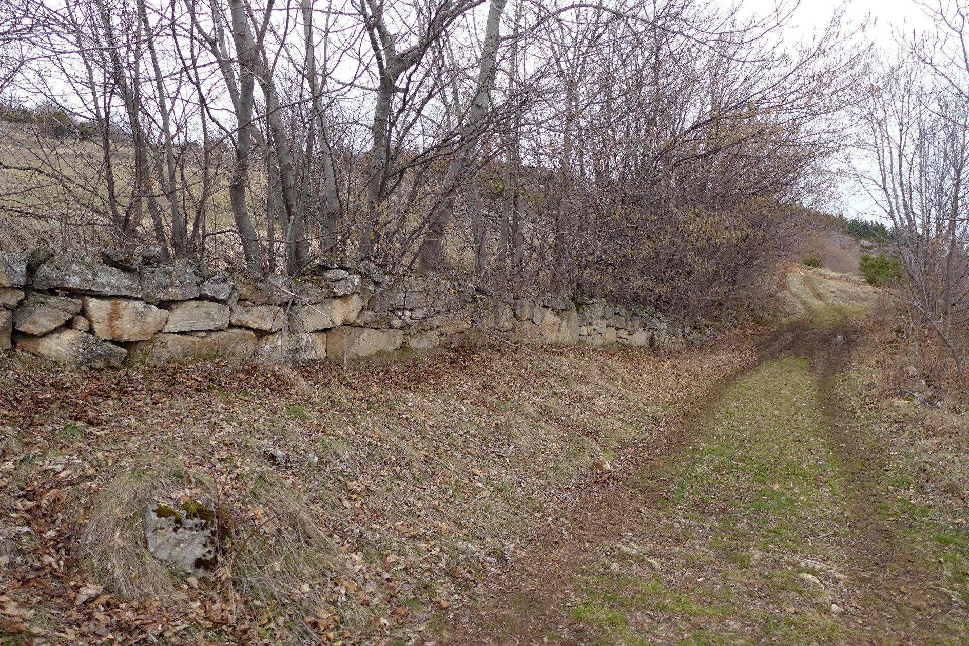 Staze_Radonjici